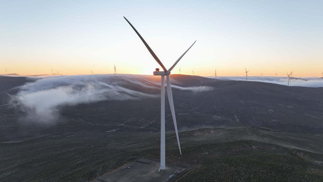 Red Rocket Enlists Bioseco in Tech-powered Initiative to Protect Birdlife on Its Wind Farms